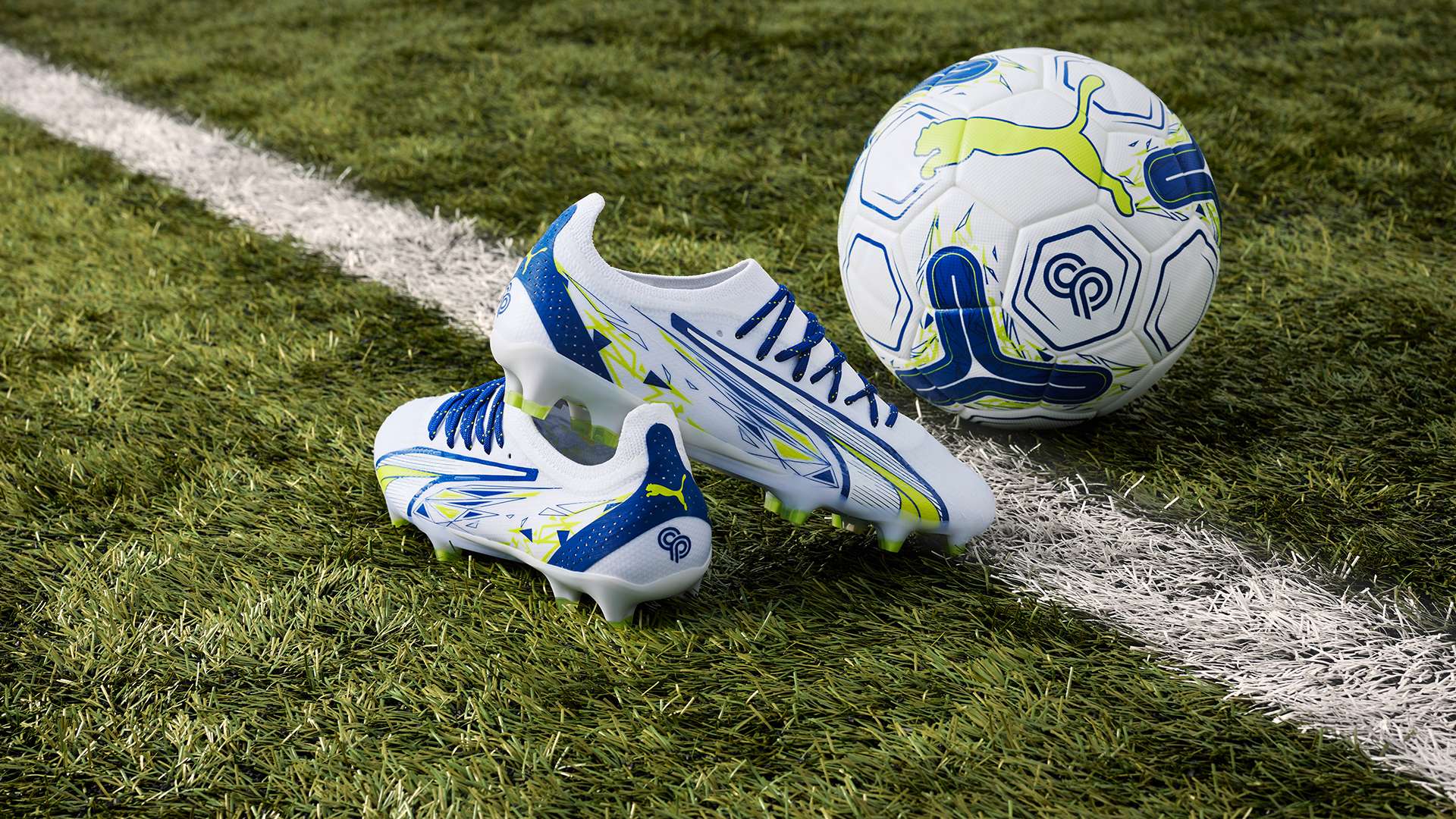 同样展现了 同样展现了